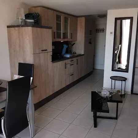 A 100m De La Avec Terrasse Et Parking Prive - Fr-1-194-304 Apartment *