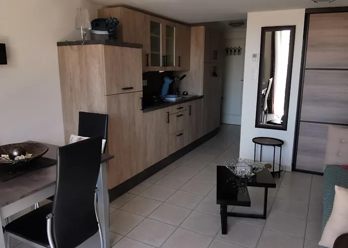 A 100m De La Avec Terrasse Et Parking Prive - Fr-1-194-304 Apartman *